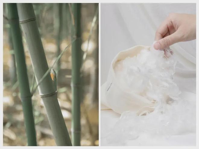 st Designs真正出圈的底层逻辑开元棋牌试玩颜值与实力双轮驱动拆解Ne(图3) st Designs真正出圈的底层逻辑开元棋牌试玩颜值与实力双轮驱动拆解Ne(图3)